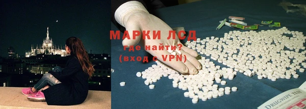 индика Анива