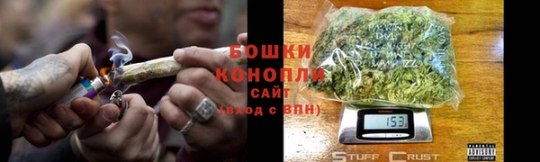 ПСИЛОЦИБИНОВЫЕ ГРИБЫ Горно-Алтайск